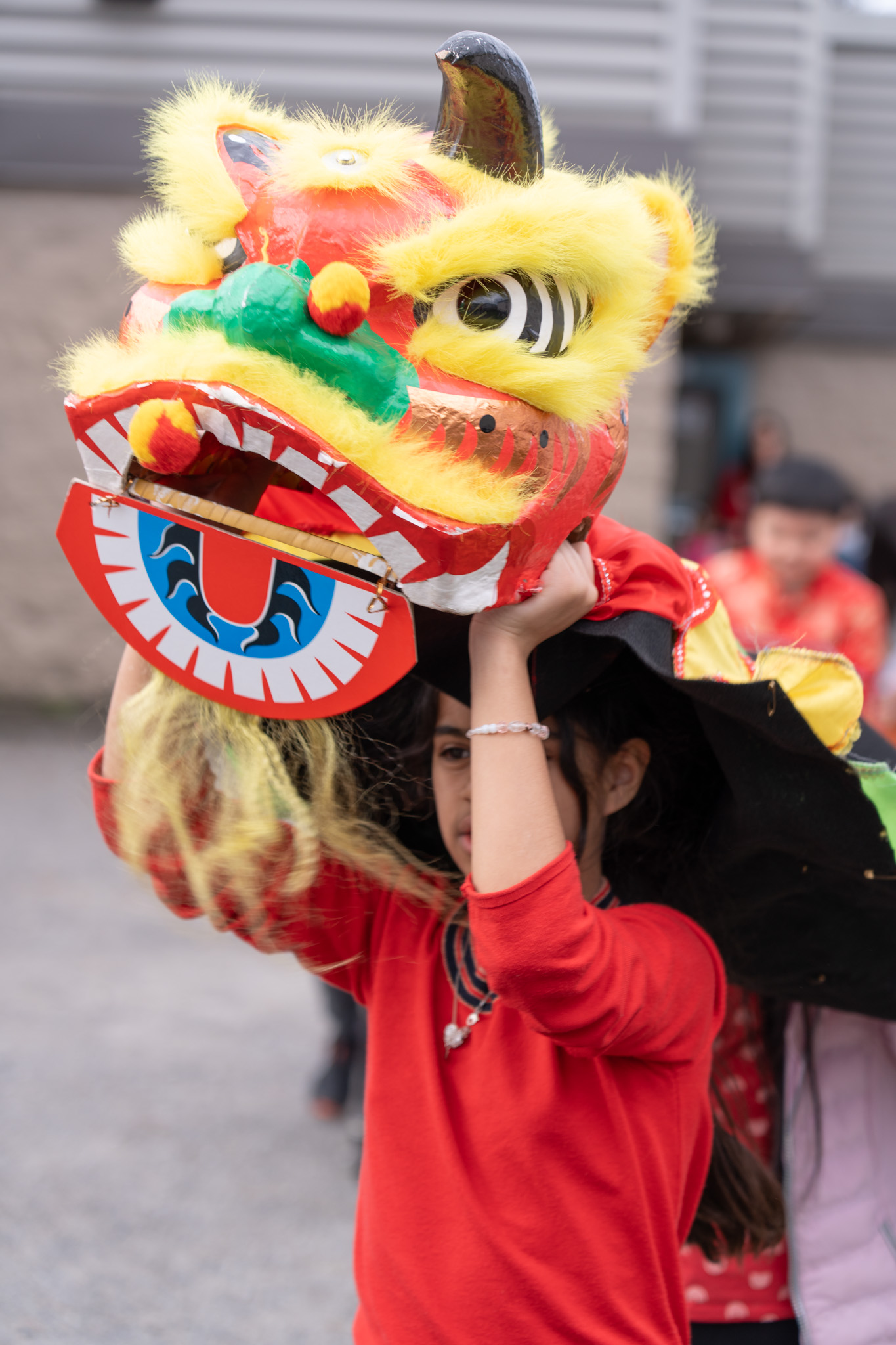 Albion Lunar New Year-10 Albion Elementary students participate in the lion dance for Lunar New Year.