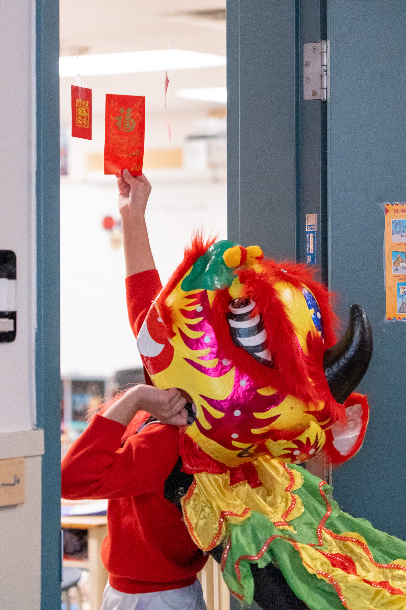 Albion Lunar New Year-8 Albion Elementary student wearing a lion head grabs a red envelope hanging from a door.