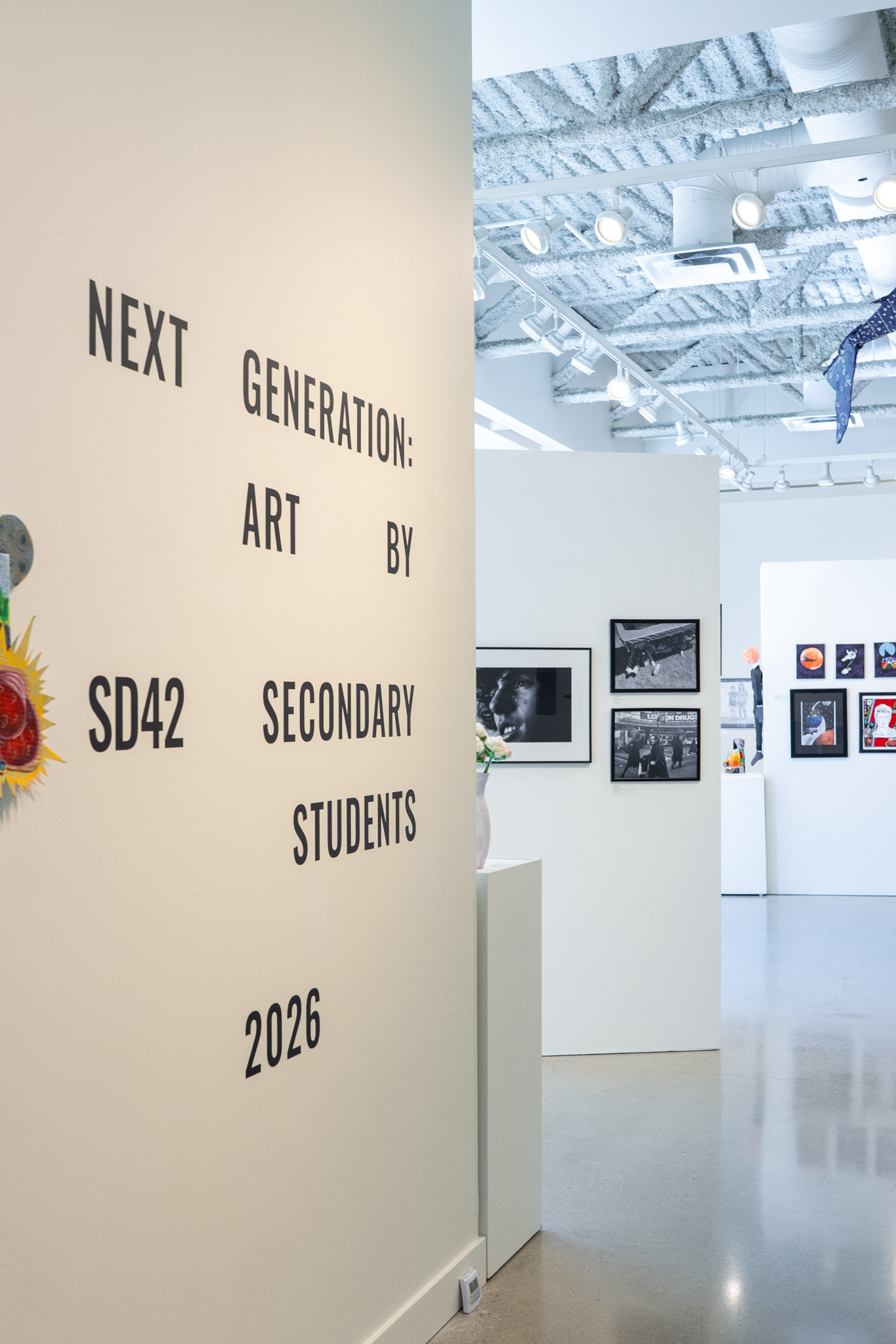 SD42 ACT Art Gallery-5