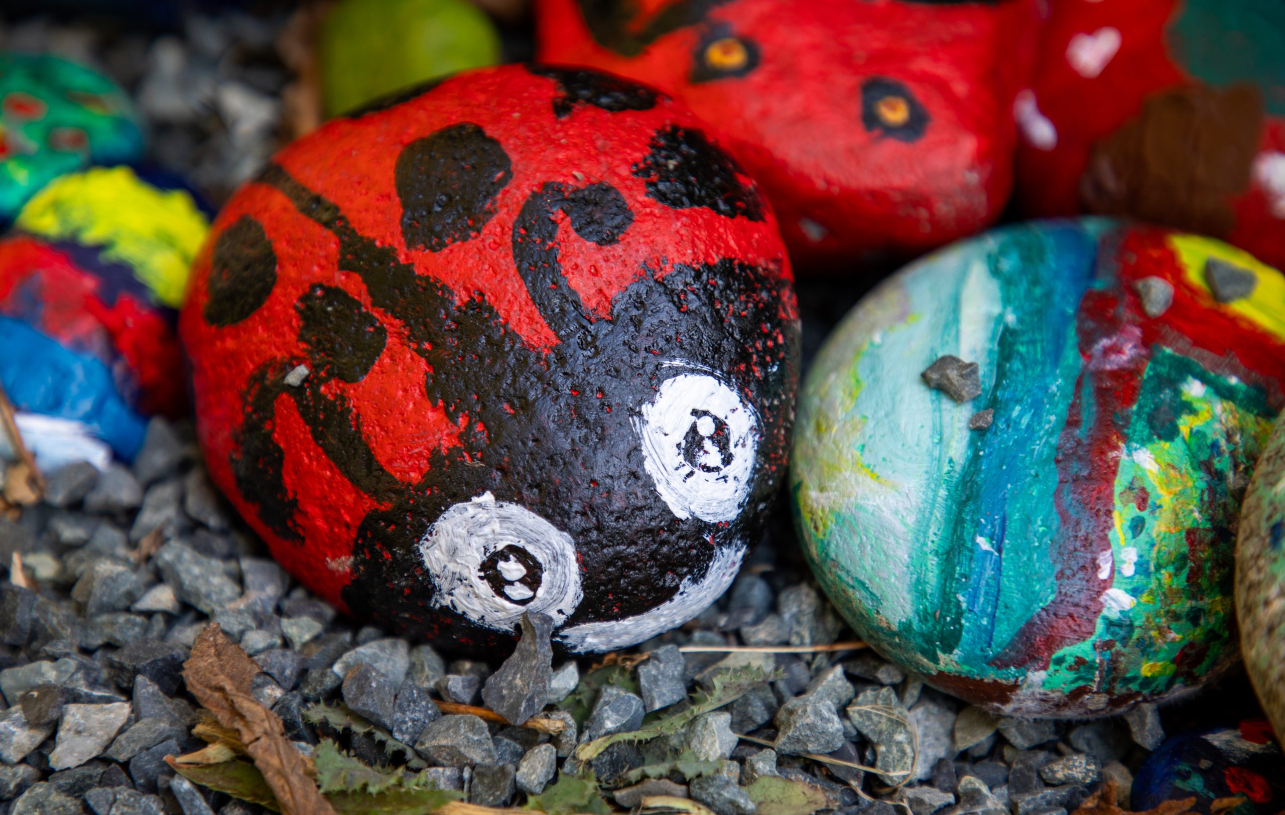 A rock painted as a ladybug. 