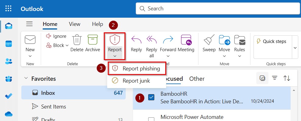 Report phishing screenshot